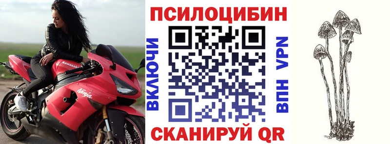 Купить закладки  Ачхой-Мартан  Галлюциногенные грибы Psilocybine cubensis 